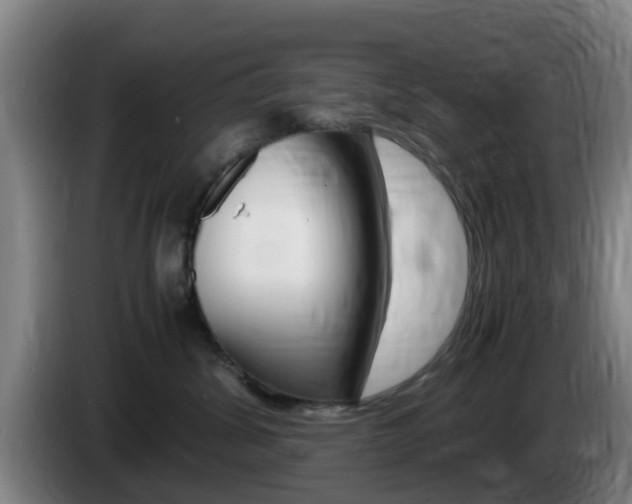 X0000085270428200703090919