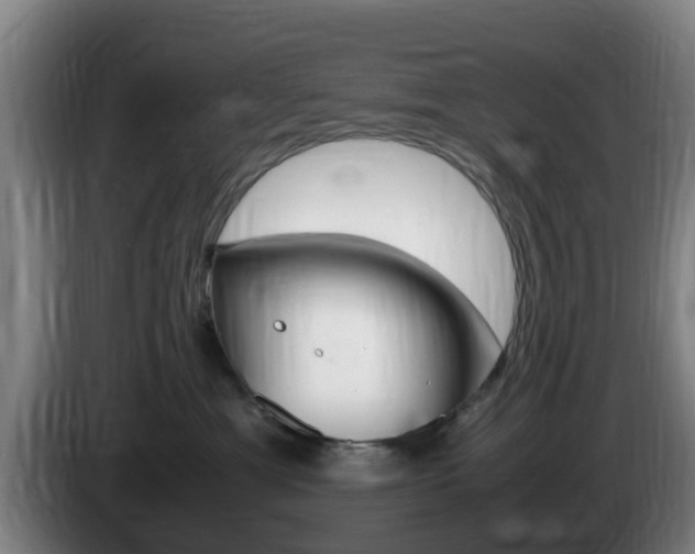 X0000085270429200703090919