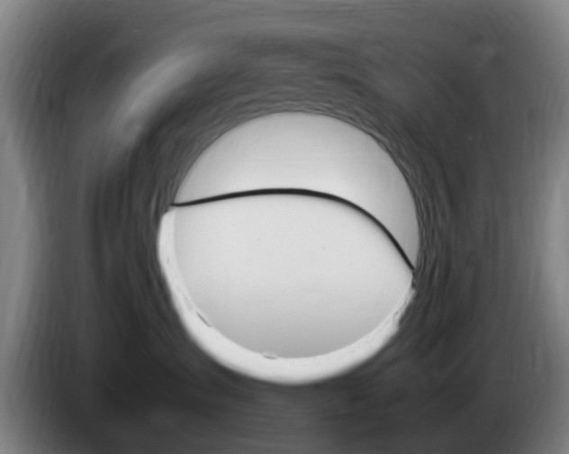 X0000085270431200703090919