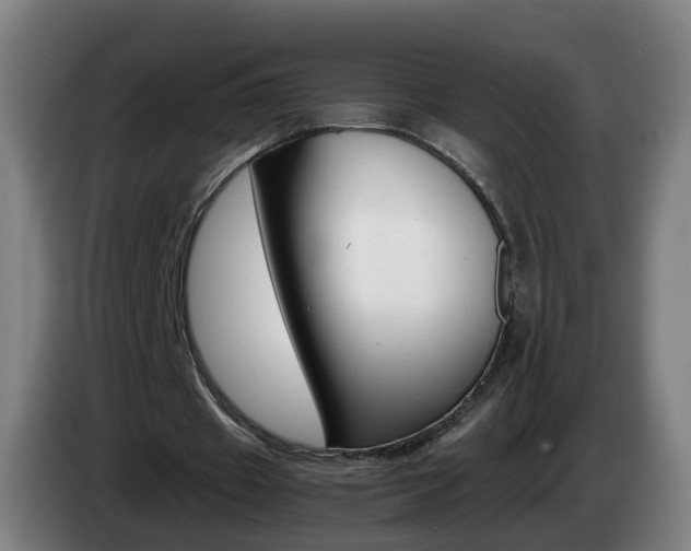 X0000085270433200703090919