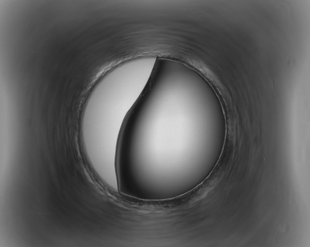 X0000085270434200703090919