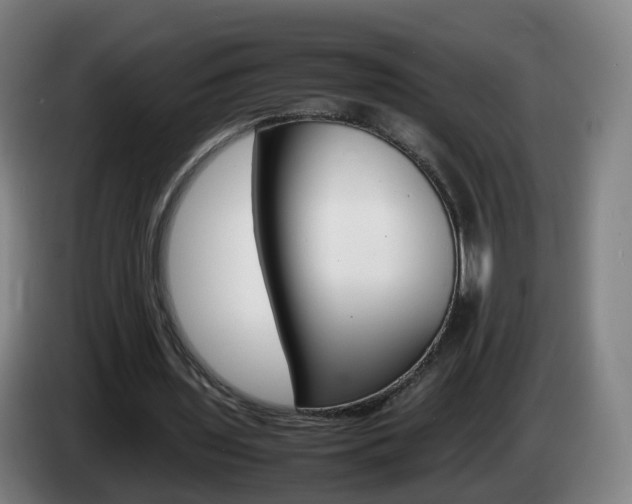 X0000085270435200703090919