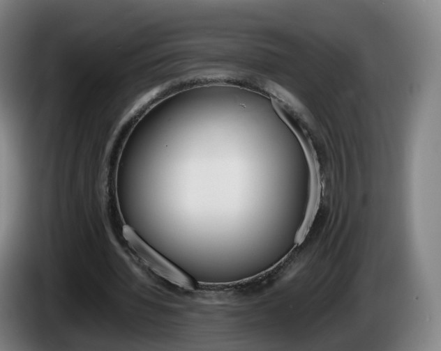 X0000085270436200703090919