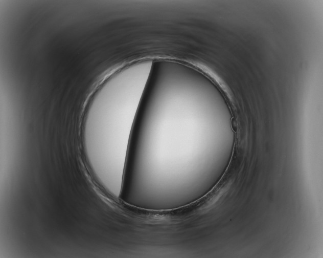 X0000085270437200703090919