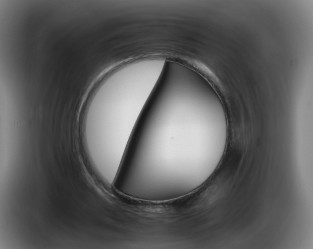 X0000085270439200703090919