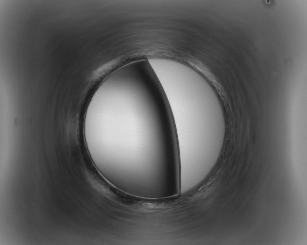 X0000085270442200703090919