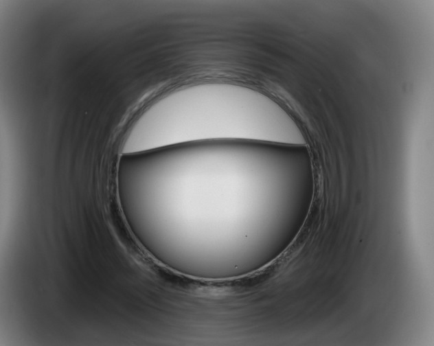 X0000085270444200703090919