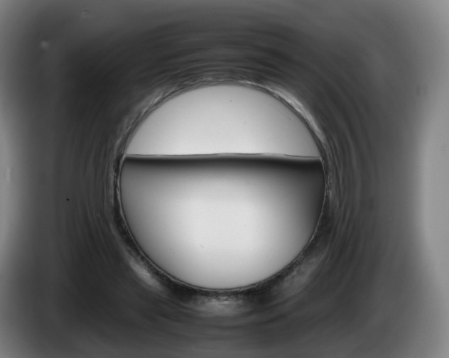 X0000085270445200703090919