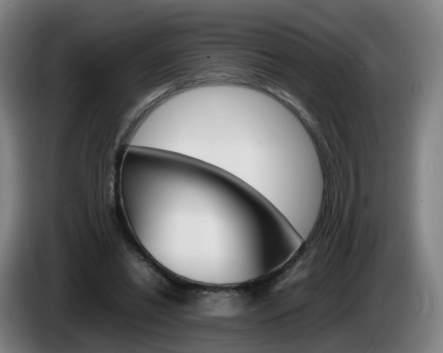 X0000085270446200703090919