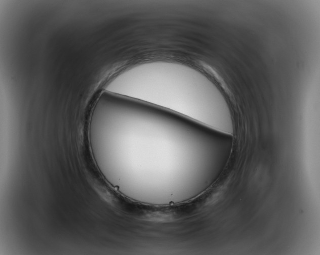 X0000085270447200703090919