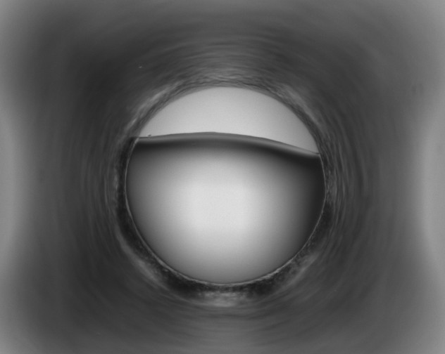 X0000085270448200703090919