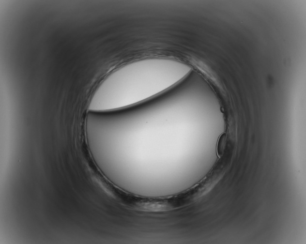 X0000085270449200703090919