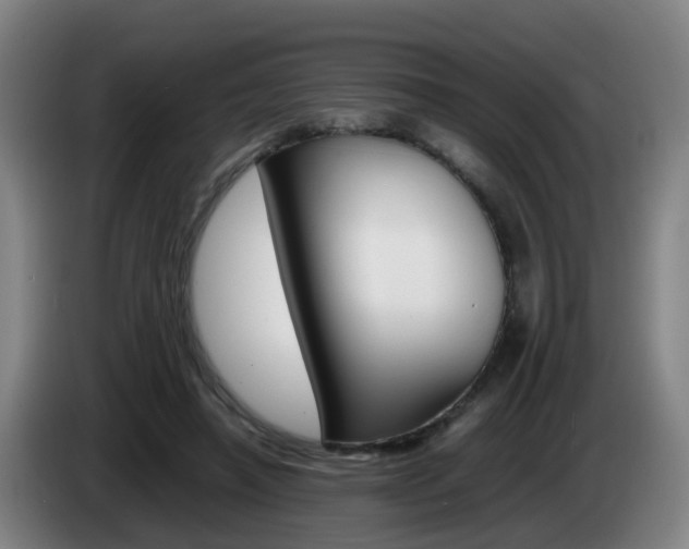 X0000085270450200703090919