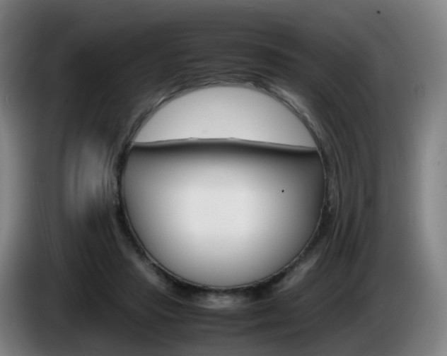 X0000085270453200703090919