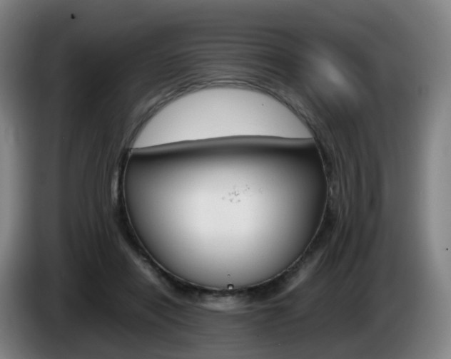 X0000085270454200703090919