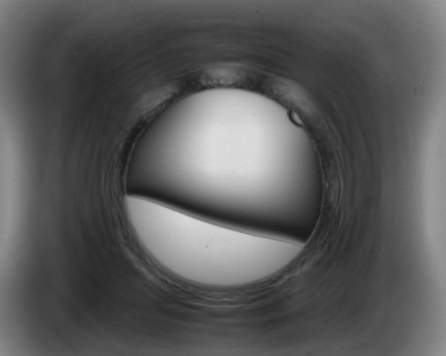 X0000085270455200703090919