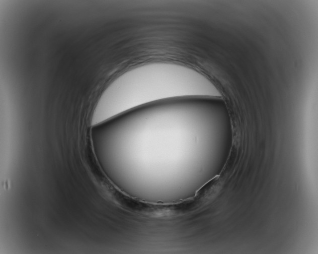 X0000085270456200703090919