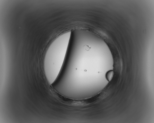 X0000085270457200703090919