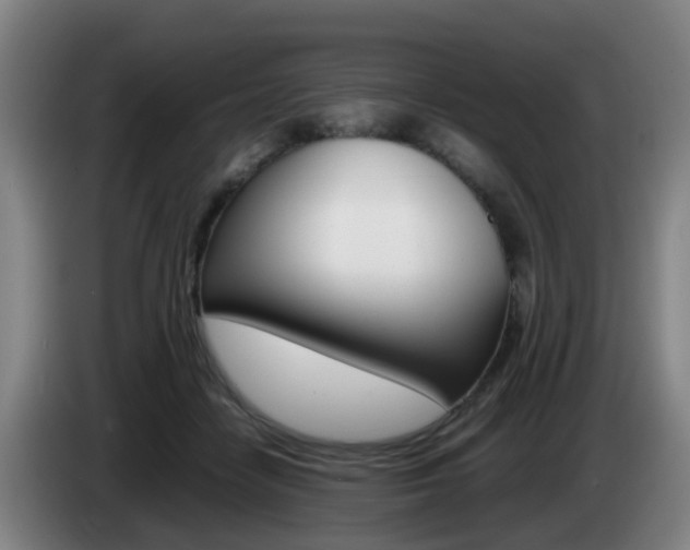 X0000085270458200703090919