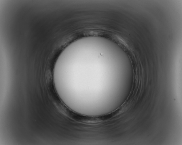 X0000085270459200703090919