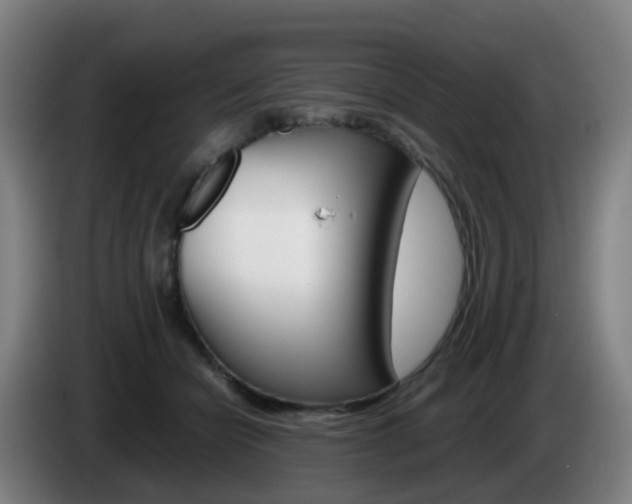 X0000085270462200703090919