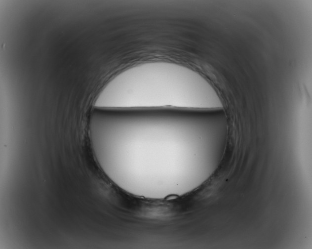 X0000085270463200703090919