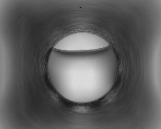 X0000085270464200703090919