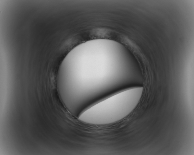 X0000085270465200703090919