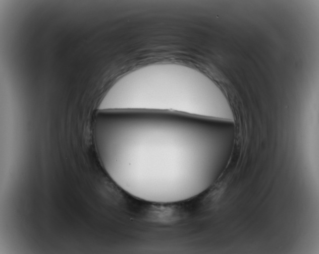 X0000085270469200703090919