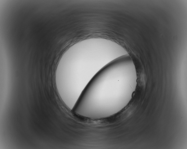 X0000085270472200703090919