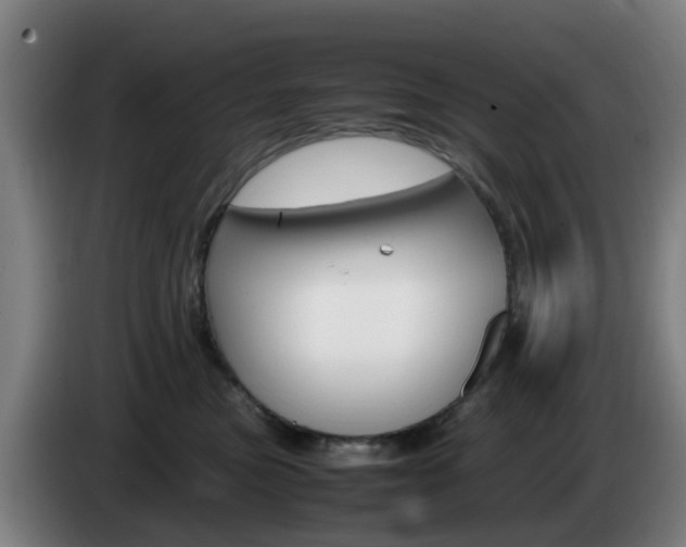 X0000085270473200703090919