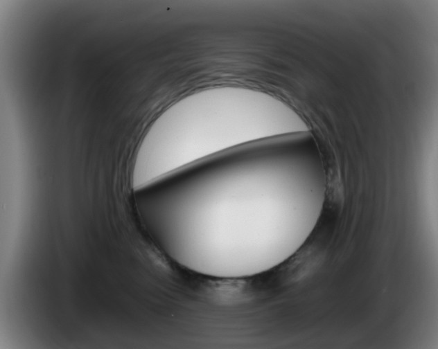 X0000085270474200703090919