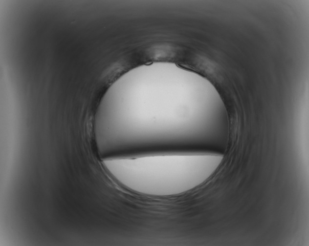 X0000085270475200703090919