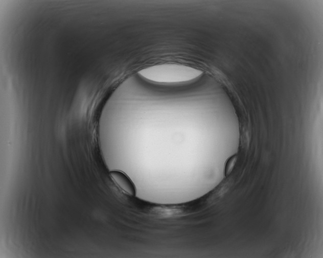 X0000085270477200703090919