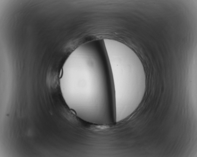 X0000085270478200703090919