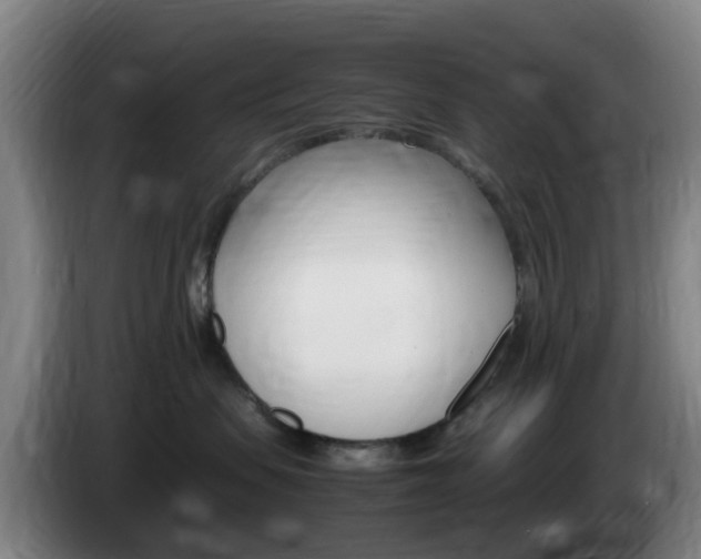 X0000085270479200703090919