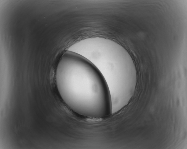 X0000085270480200703090919