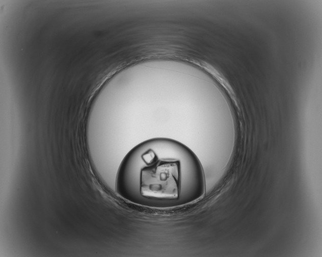 X0000085270481200703090919