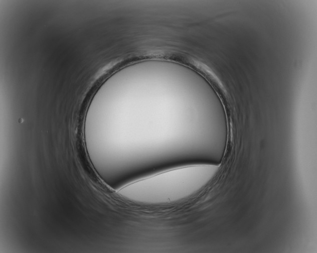 X0000085270483200703090919