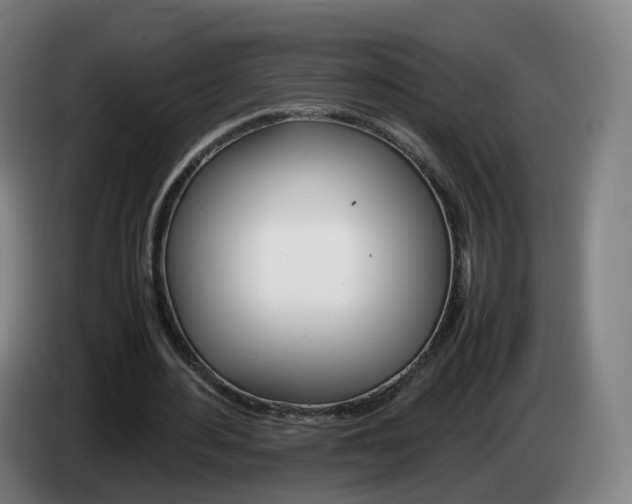 X0000085270484200703090919