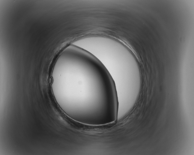 X0000085270485200703090919