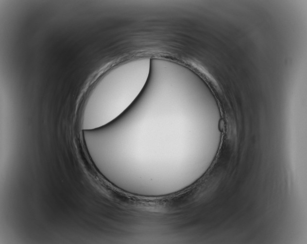 X0000085270486200703090919