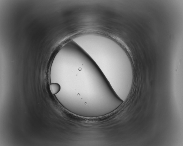 X0000085270487200703090919