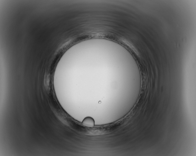 X0000085270494200703090918