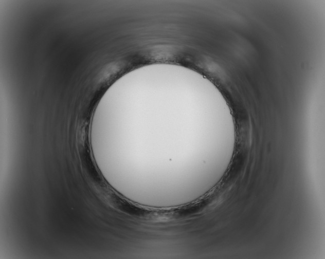 X0000085270495200703090918