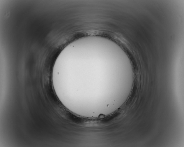 X0000085270499200703090918