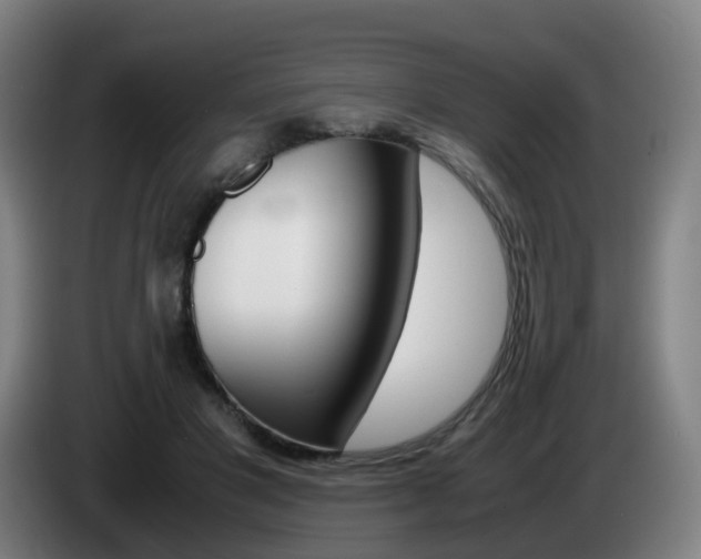 X0000085270501200703090918