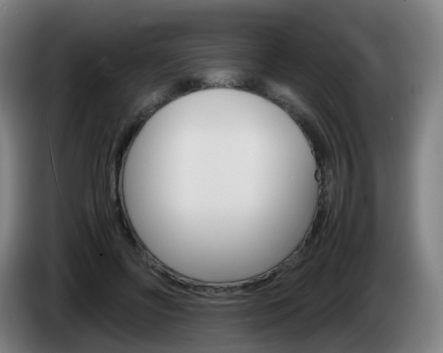 X0000085270502200703090918