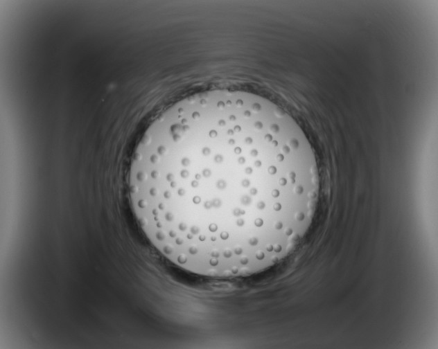 X0000085270519200703090918