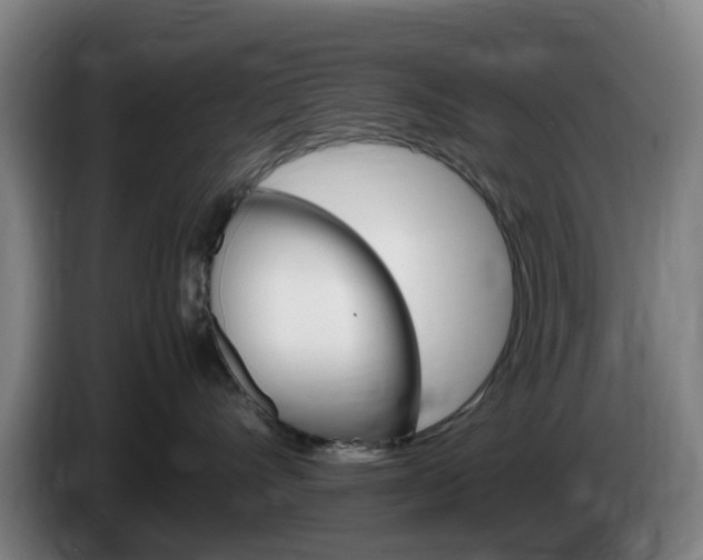 X0000085270528200703090918